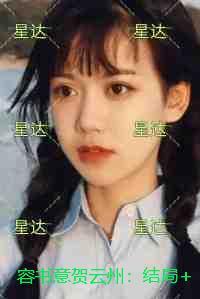容书意贺云州