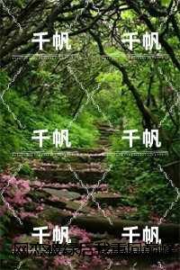 苏亭夏靳颂言