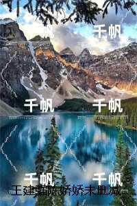 王建强陈娇娇