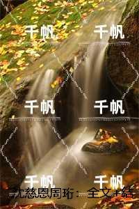 沈慈恩周珩