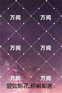 顾鸢沈景初